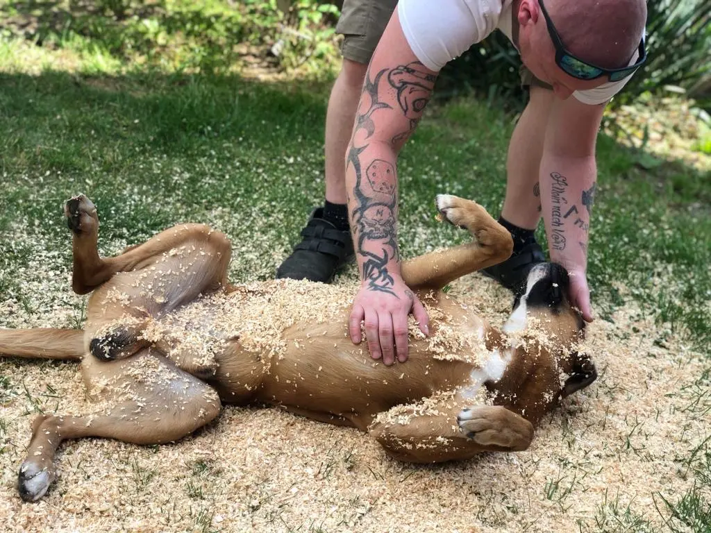 Egal wie das Wetter war du warst immer bei mir 😘😘😘😘❤️