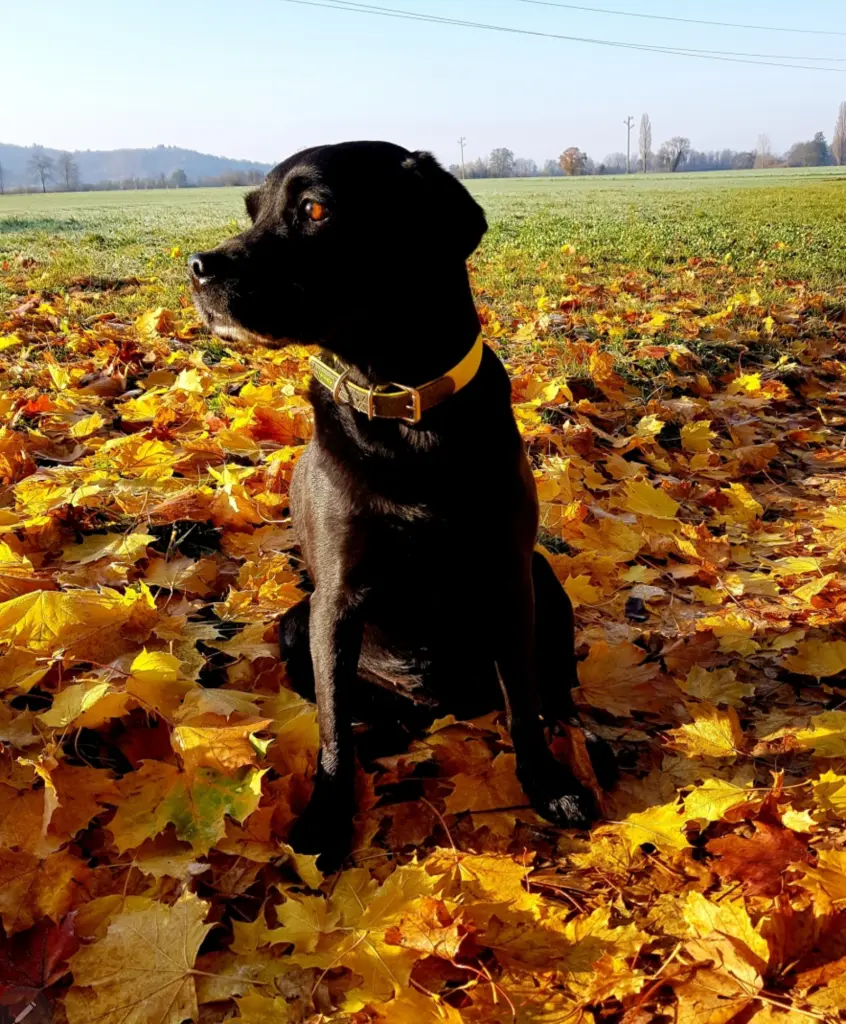 Image from Nelly