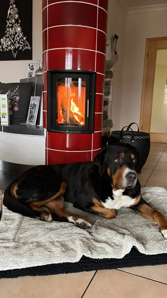 …gemütlich ☺️