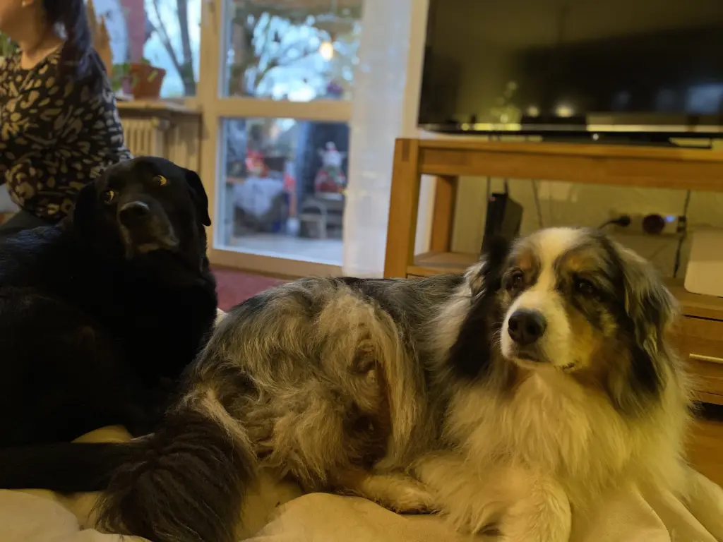 Andachtsbild von Lea Metzdorf