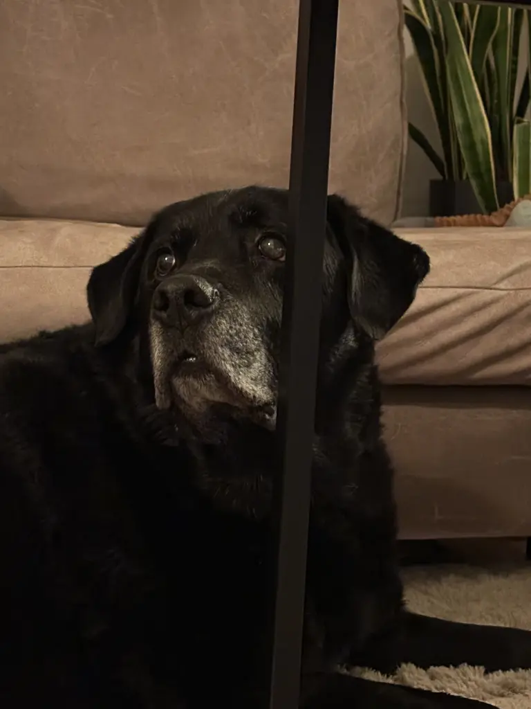 Andachtsbild von Leonie Kollmann