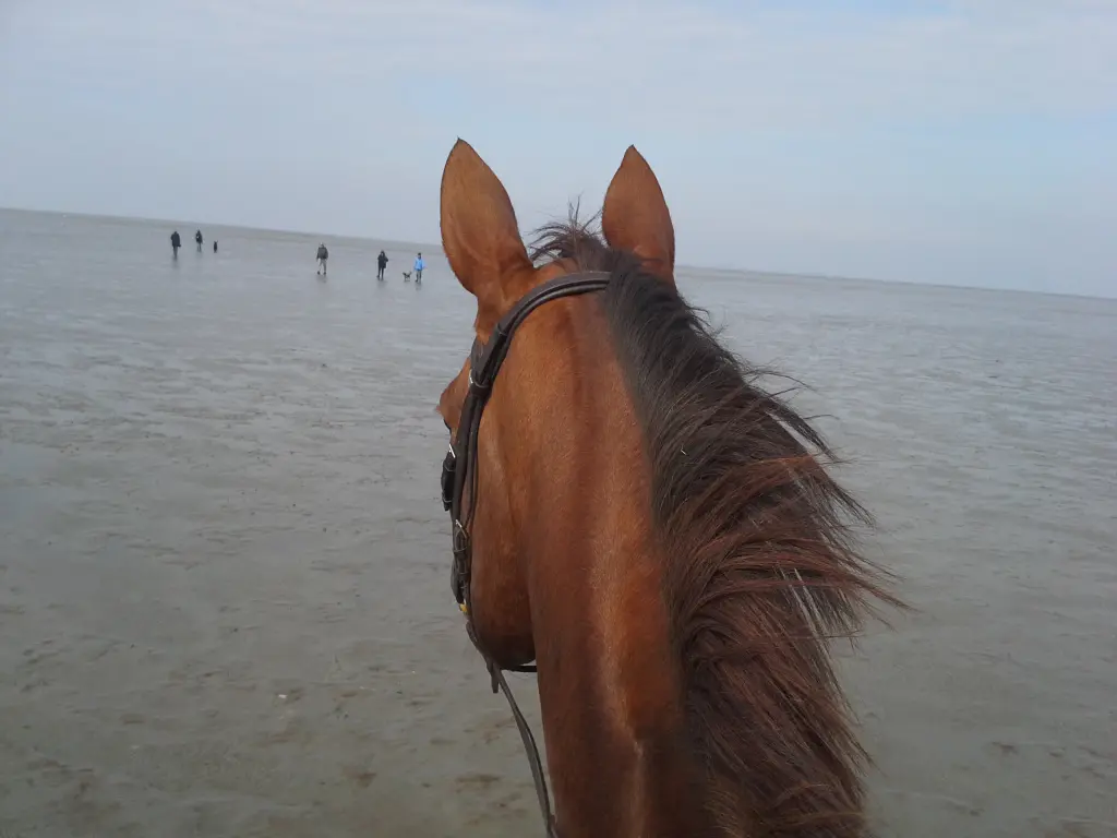 Andachtsbild von Annette und Luki