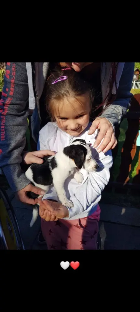 Andachtsbild von kira