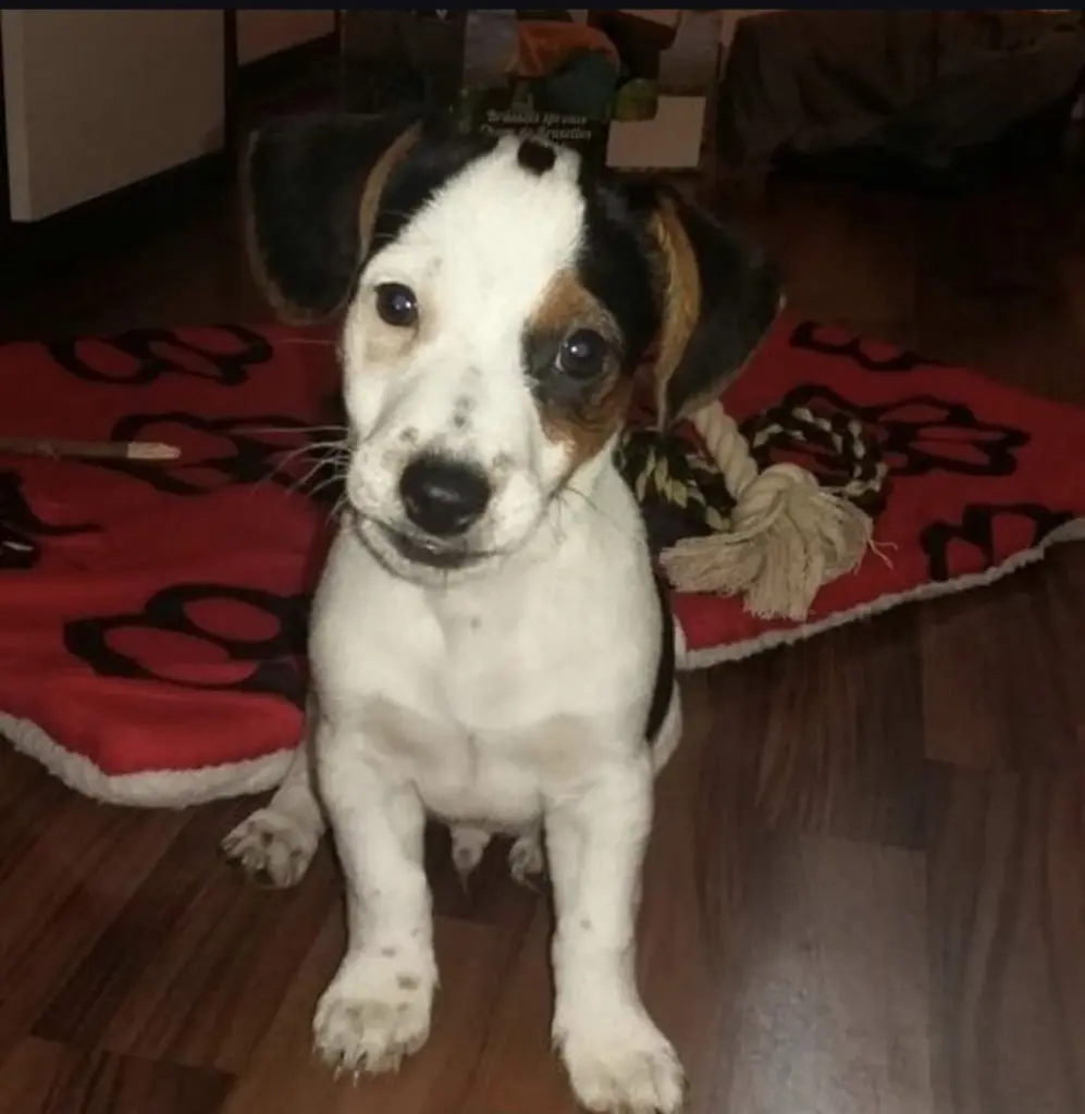 So winzig klein und süß