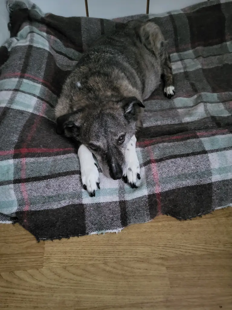 Andachtsbild von Sylvia Gläsing