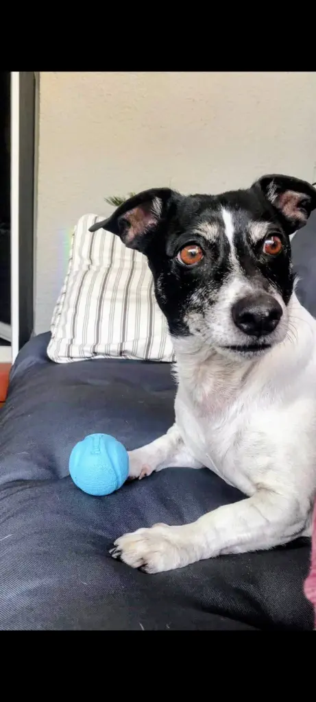 Andachtsbild von Renate