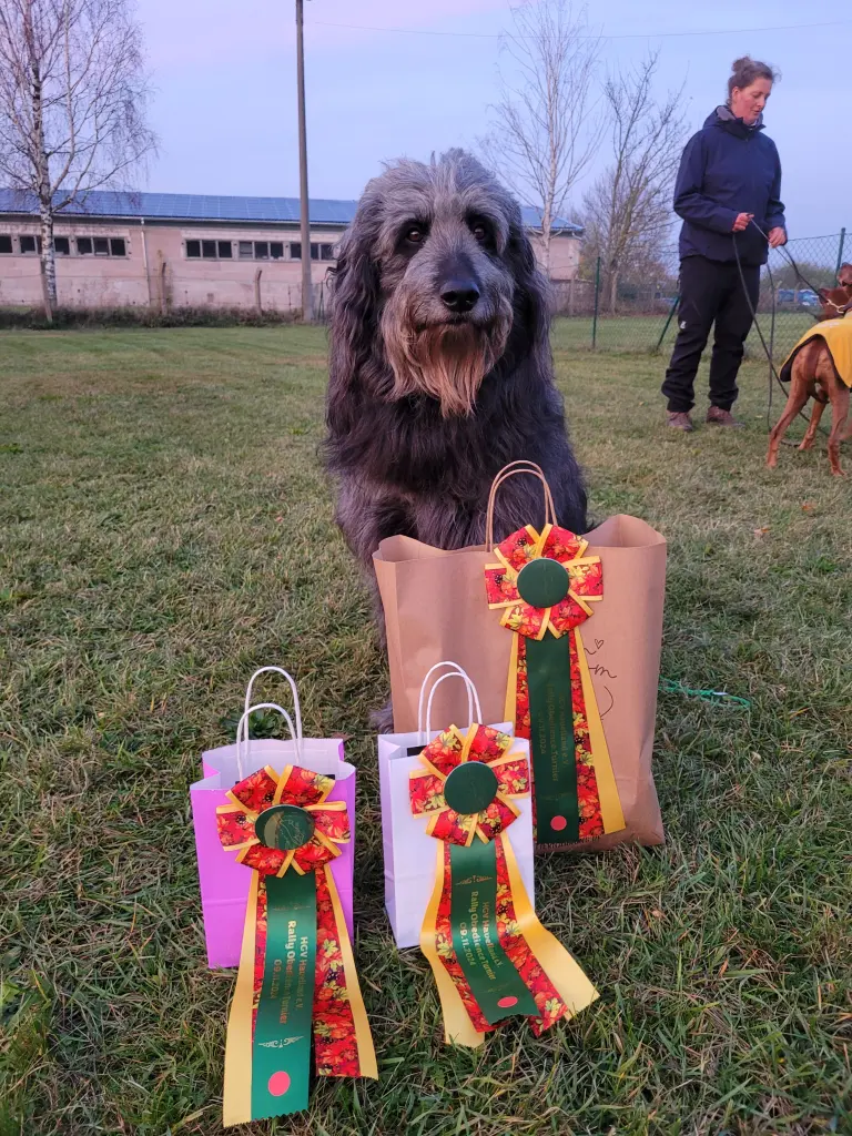 Hulk, erfolgreich und souverän