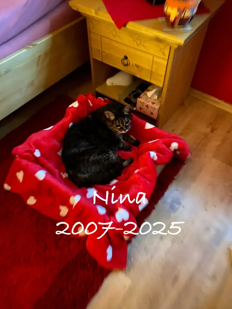 Andachtsbild von Simone Walterer