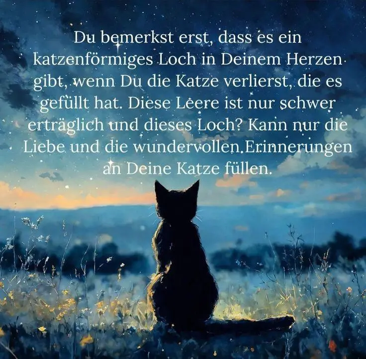 Condolence image of Patricia Rehm