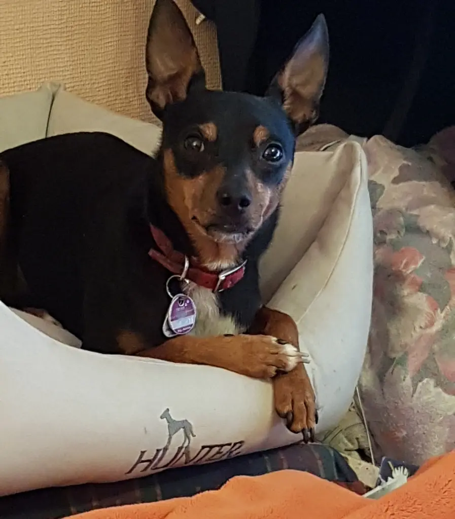 Carlos