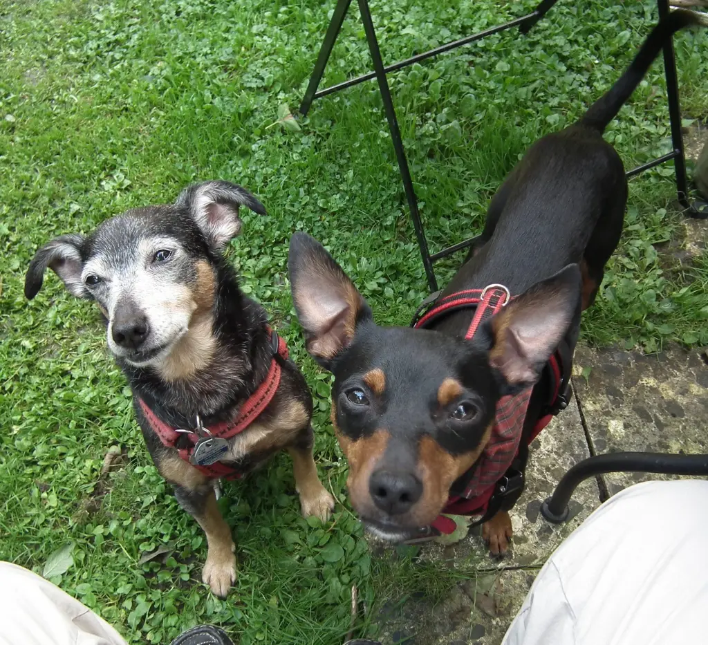 Trüffel und Carlos