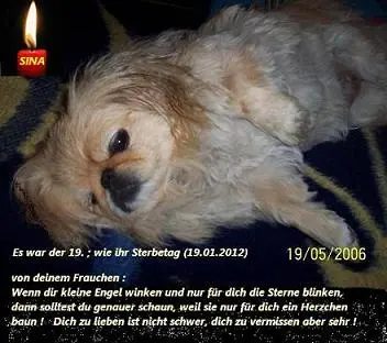 Image from mein persönliches Sternchen !