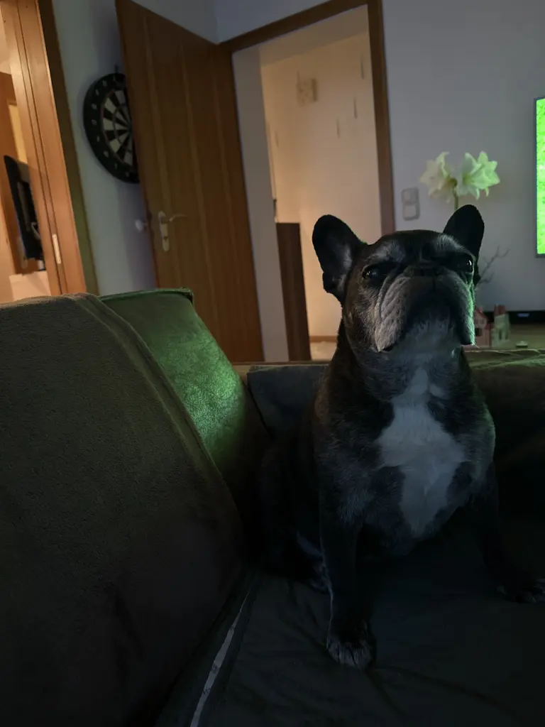 Andachtsbild von Birgit Schumacher