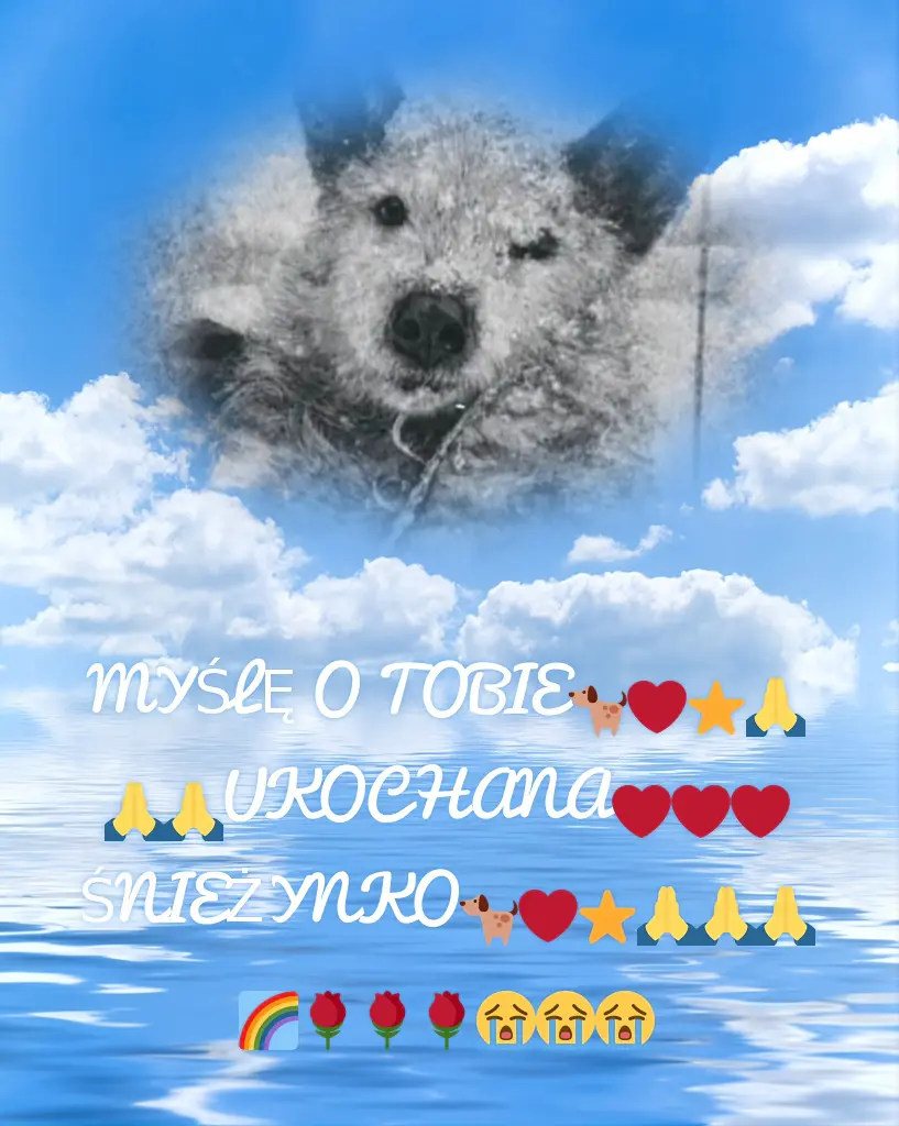 Andachtsbild von Dla Ukochanej❤️❤️❤️Śnieżynki🐕❤️🫶🫶🫶⭐️🌹🌹🌹🙏🙏🙏