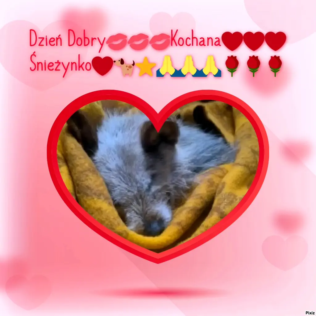 Andachtsbild von ❤️❤️❤️❤️❤️❤️❤️❤️❤️❤️❤️