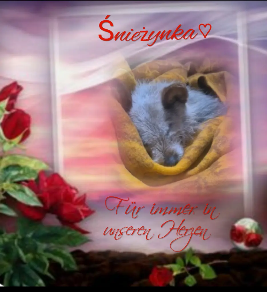 Andachtsbild von 🙏DANKE🙏