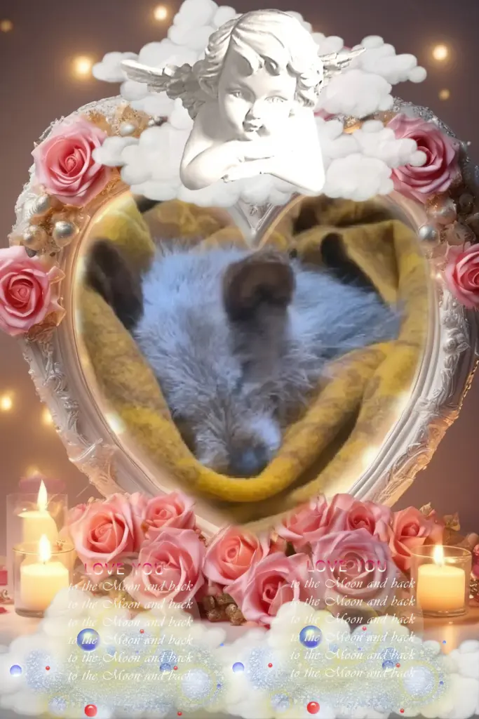 Andachtsbild von Dobrej Nocki❤️❤️❤️Maluszku❤️🐕⭐️🫶🫶🫶💋💋💋