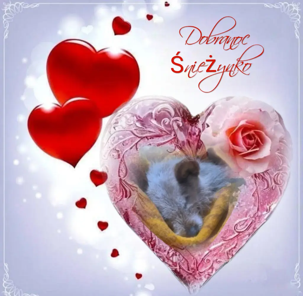 Andachtsbild von ✨️Dobranoc✨️ kochana Śnieżynko♥️