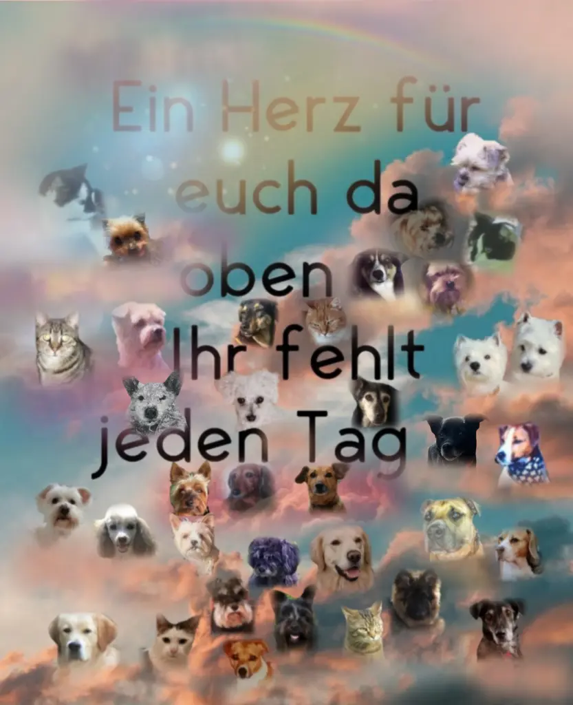 Condolence image of E&K mit Jacki♥️ für Śnieżynka♥️
