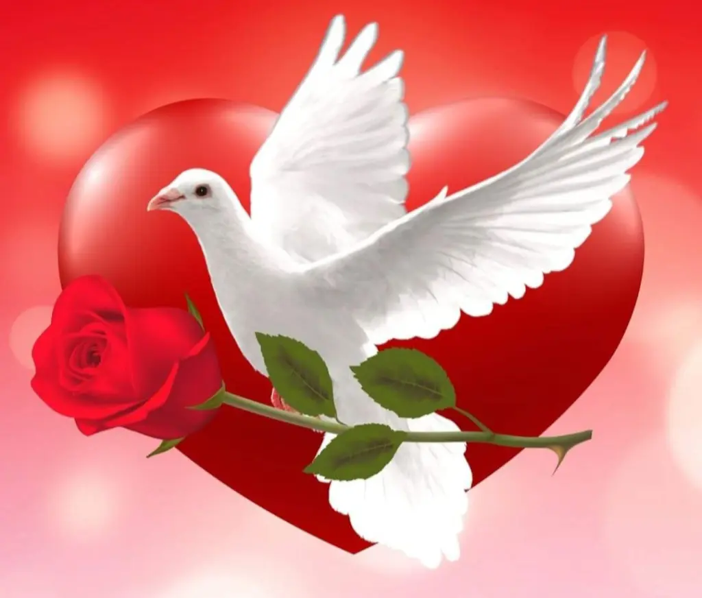 Condolence image of E & K mit Jacki♥️ für Śnieżynka♥️