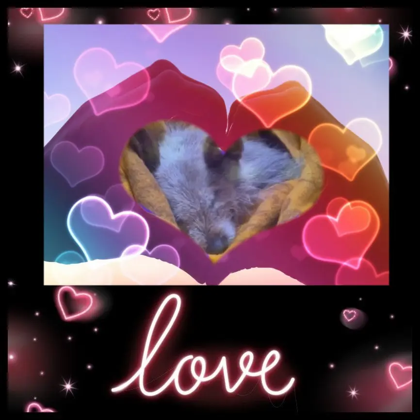 Condolence image of Dobrej Nocki❤️💚💛Ukochana❤️❤️❤️Śnieżynko❤️⭐️🫶🫶🫶💋💋💋