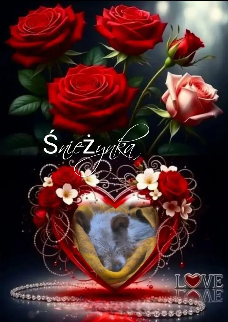Condolence image of ✨️Dobranoc✨️ kochana Śnieżynko♥️