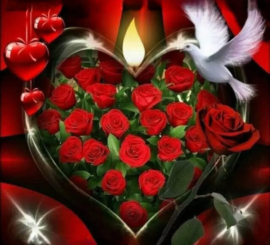 Condolence image of ✨️Dobranoc✨️ kochana Śnieżynko♥️