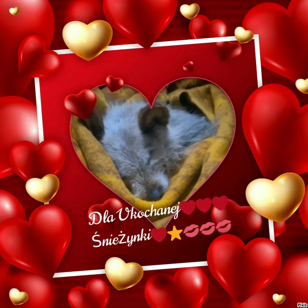 Condolence image of Dla Ukochanej❤️❤️❤️Walentynki❤️❤️❤️Śnieżynki❤️⭐️🫶🫶🫶💋💋💋