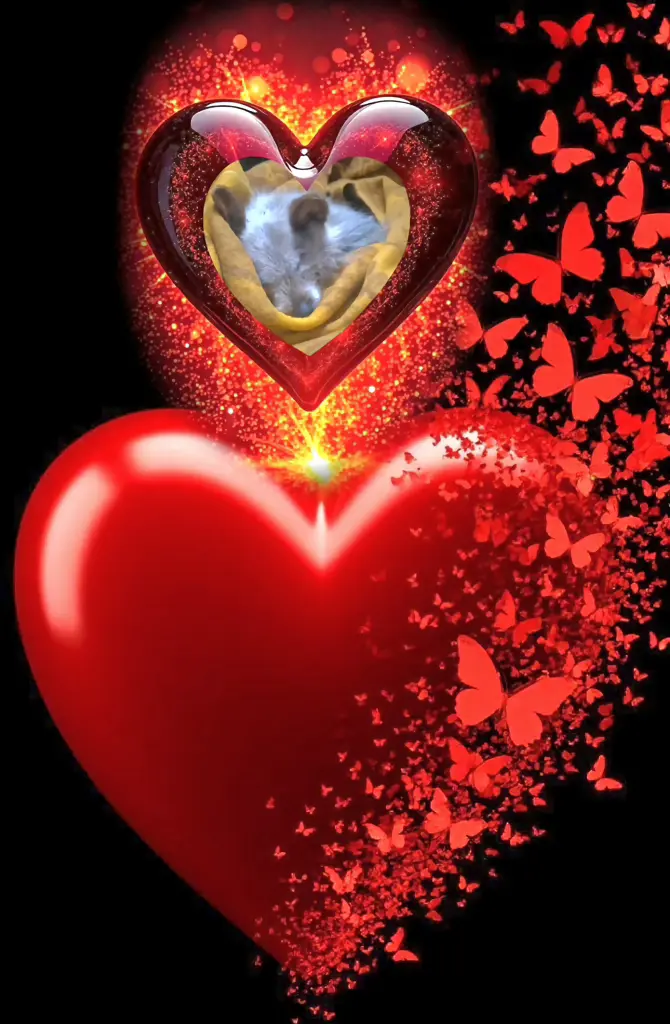 Condolence image of Dobrej Nocki💚💙❤️Ukochana❤️❤️❤️Śnieżynko❤️⭐️🐕💋💋💋🫶🫶🫶
