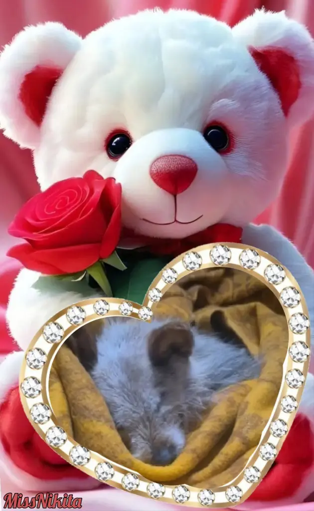 Condolence image of Dzień Dobry💚💙❤️Ukochana❤️❤️❤️Śnieżynko❤️⭐️🫶🫶🫶💋💋💋
