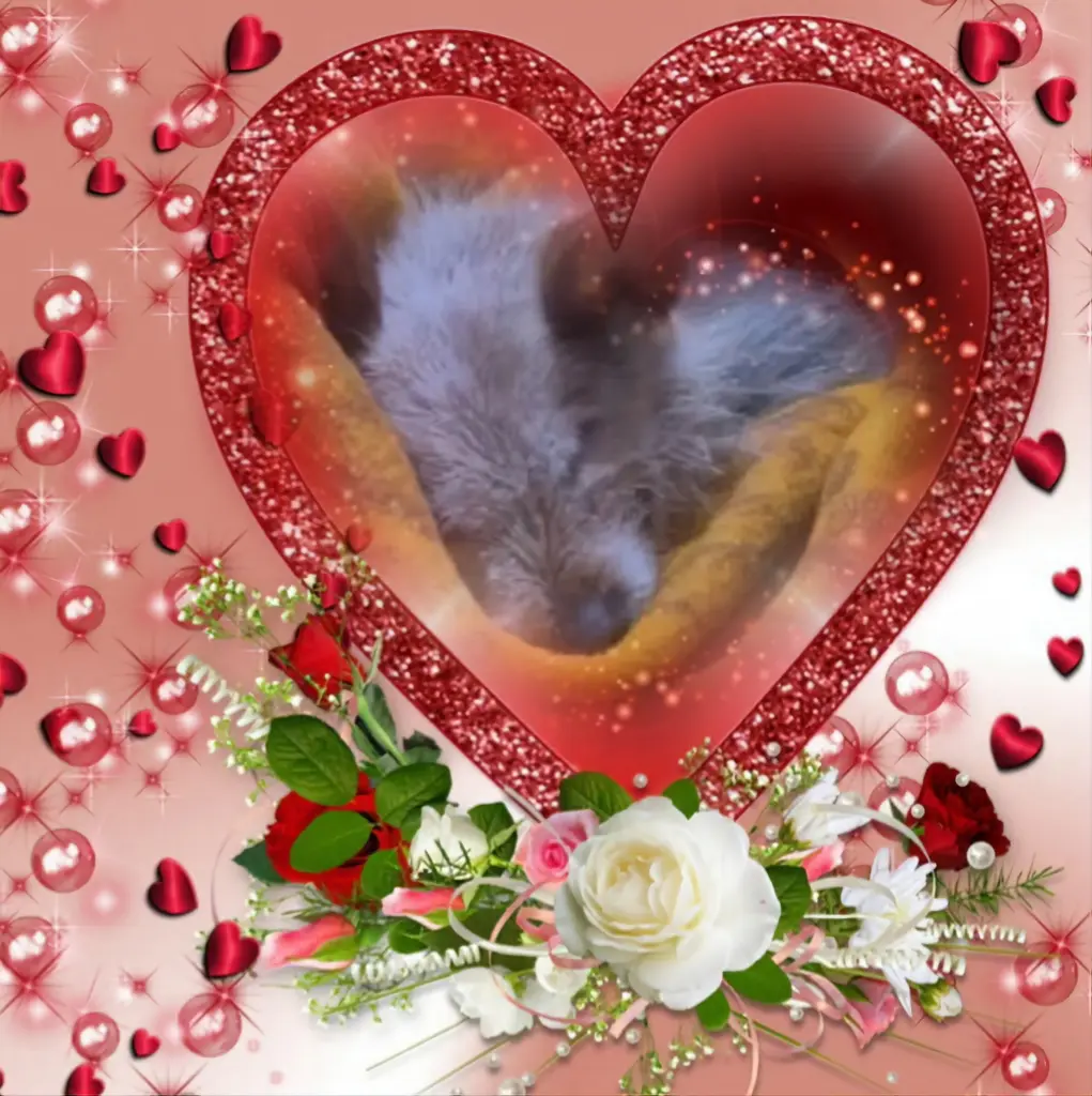 Condolence image of Dobrej Nocki❤️❤️❤️Ukochana❤️❤️❤️Śnieżynko❤️⭐️🫶🫶🫶💋💋💋