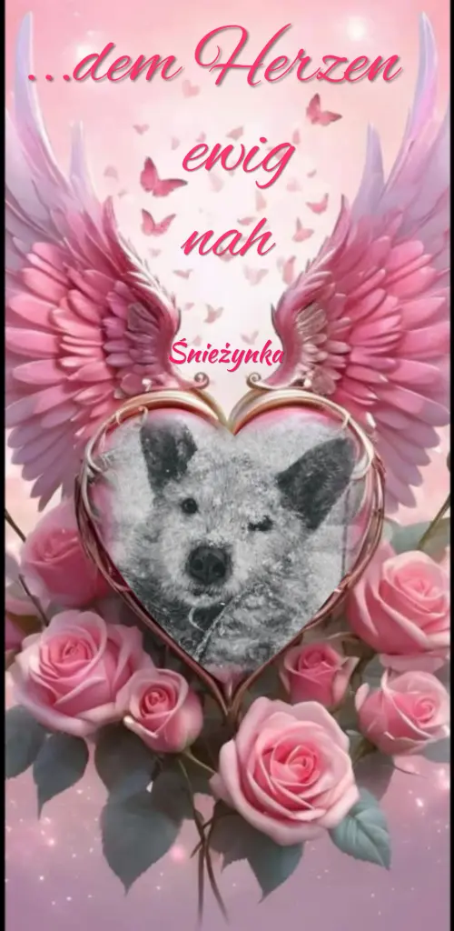 Condolence image of Śnieżynka♥️ geliebt♥️ und unvergessen♥️