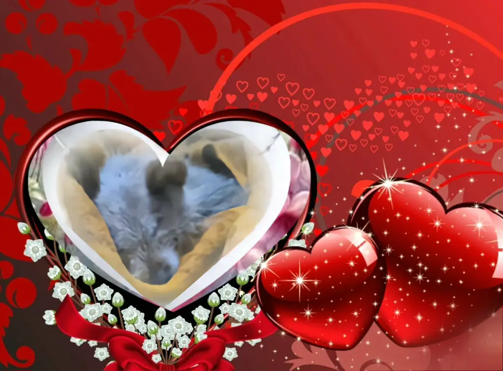 Condolence image of Dobrej Nocki❤️💜💛Ukochana❤️❤️❤️Śnieżynko❤️⭐️🫶🫶🫶💋💋💋