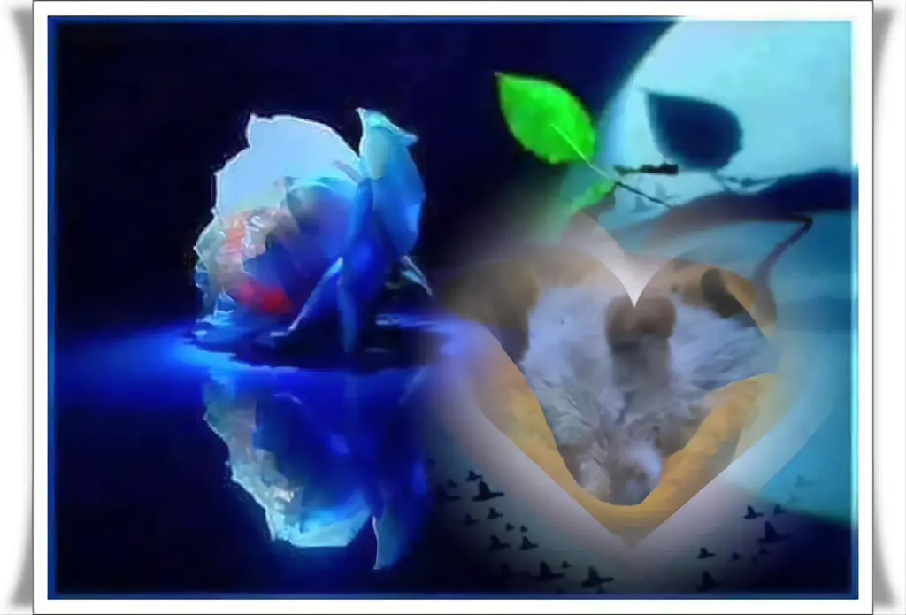 Condolence image of Dobrej Nocki💙💚🩵Ukochana❤️❤️❤️Śnieżynko❤️⭐️💋💋💋🫶🫶🫶