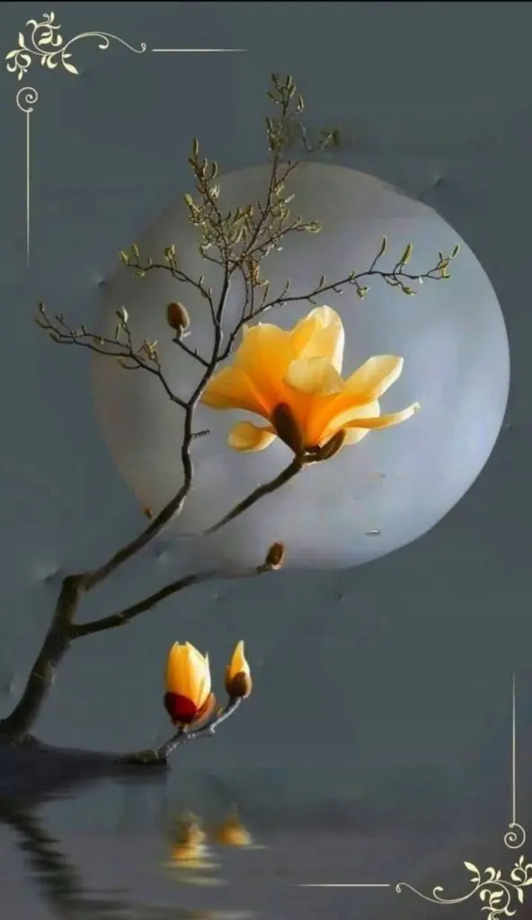 Condolence image of ✨️Dobranoc✨️ kochana Śnieżynko♥️