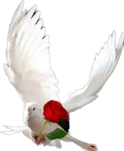 Condolence image of E&K mit Jacki♥️ für Śnieżynka♥️