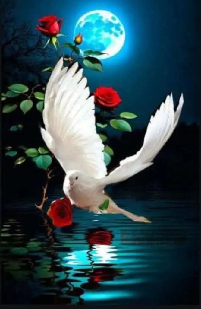 Condolence image of ✨️Dobranoc✨️ kochana Śnieżynko♥️