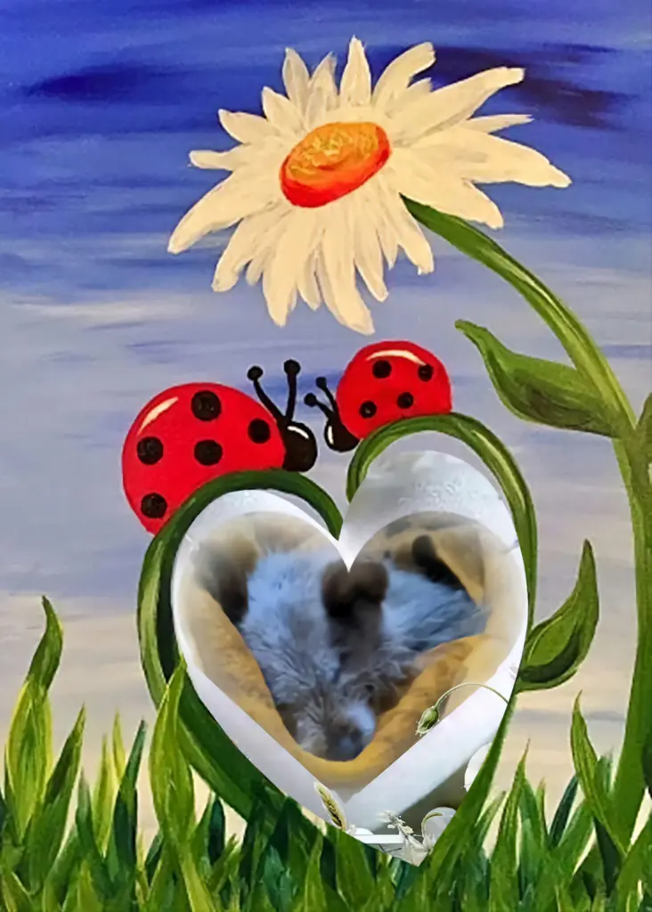Condolence image of Dobrej Nocki❤️❤️❤️Kochana❤️❤️❤️Śnieżynko❤️⭐️🐕