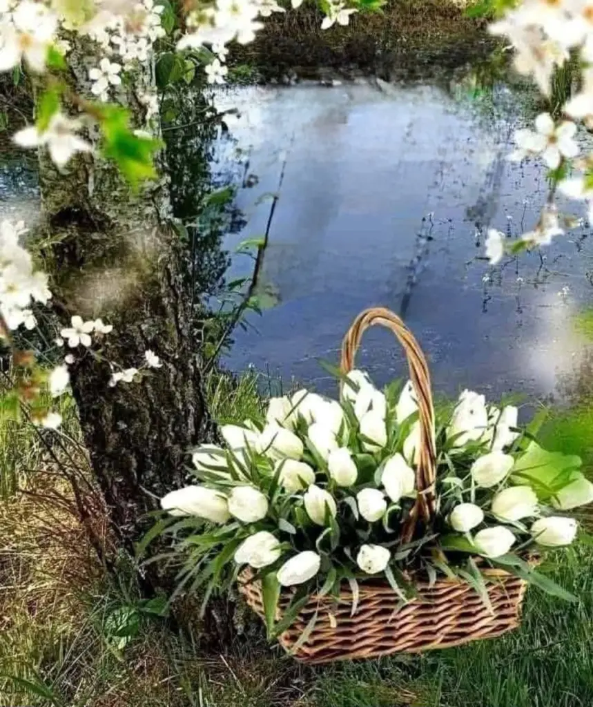 Condolence image of E&K mit Jacki♥️ für Śnieżynka♥️