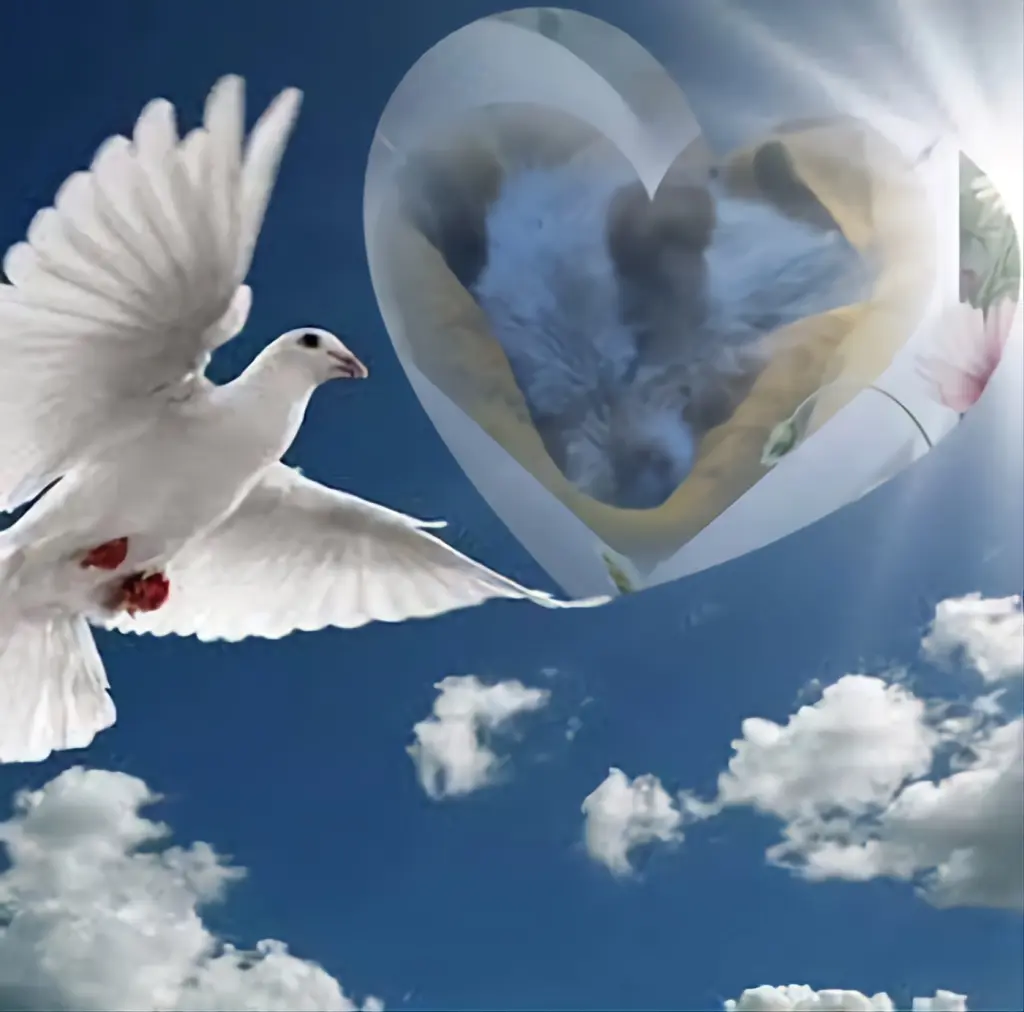 Condolence image of Dzień Dobry❤️❤️❤️Kochana❤️❤️❤️Śnieżynko❤️⭐️🐕🫶🫶🫶💋💋💋
