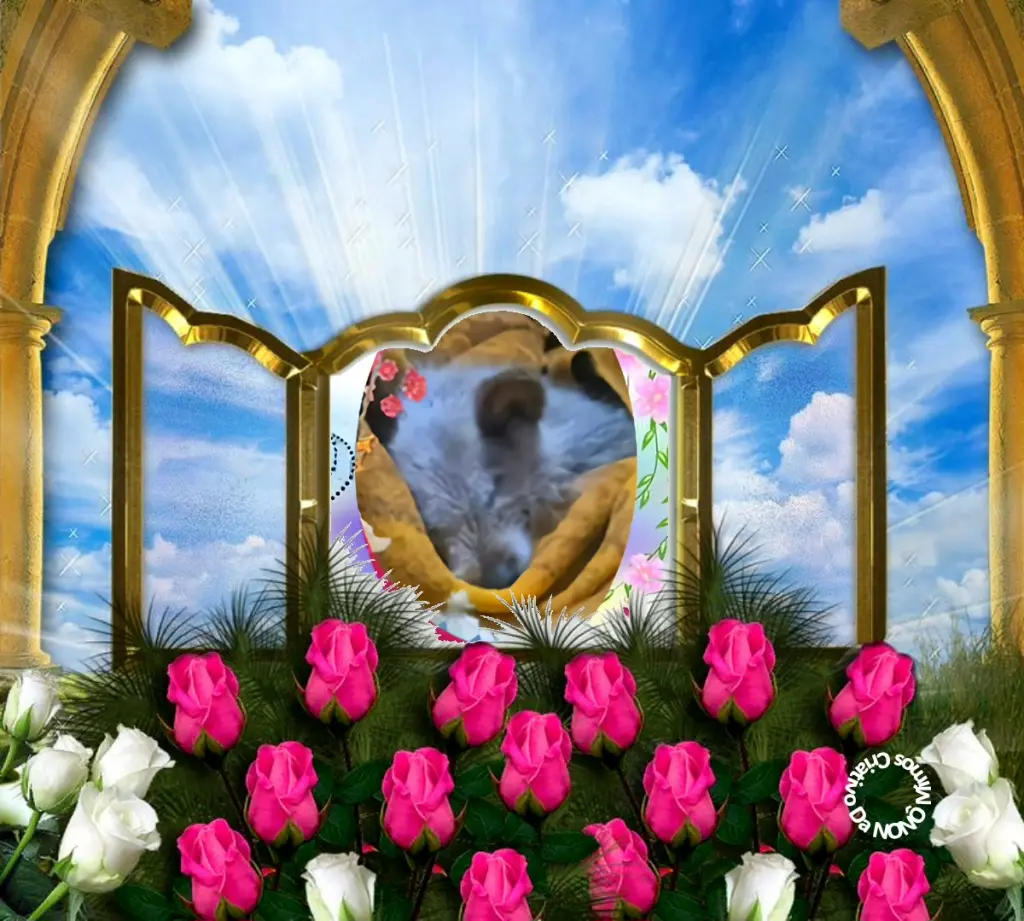 Condolence image of Dzień Dobry❤️💋❤️Kochana❤️❤️❤️Śnieżynko❤️🐕⭐️🫶🫶🫶💋💋💋