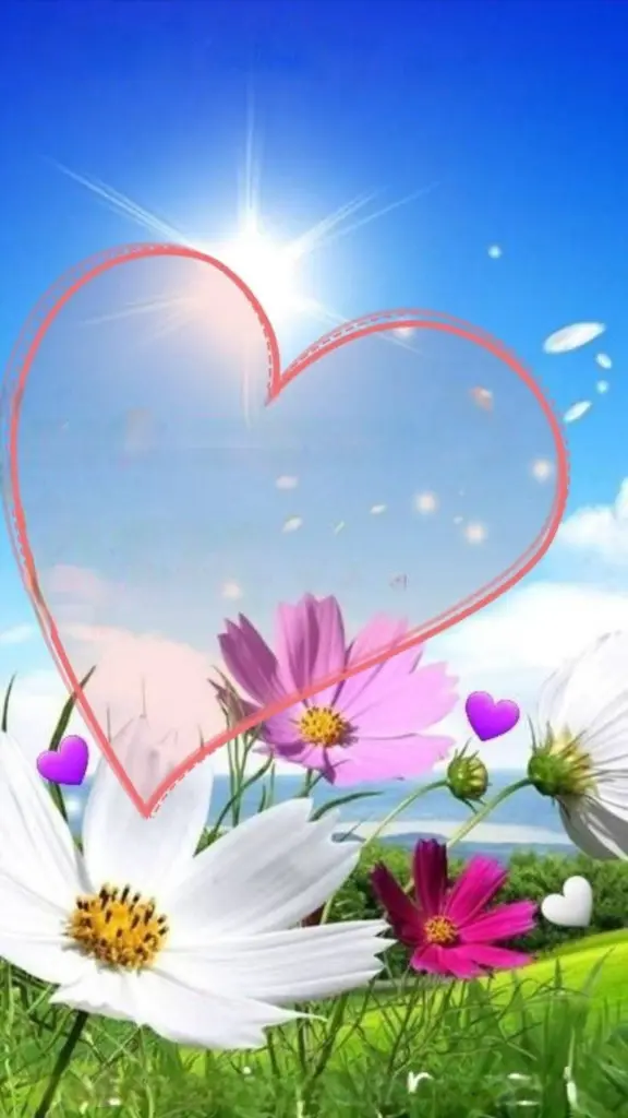 Condolence image of E&K mit Jacki♥️ für Śnieżynka♥️