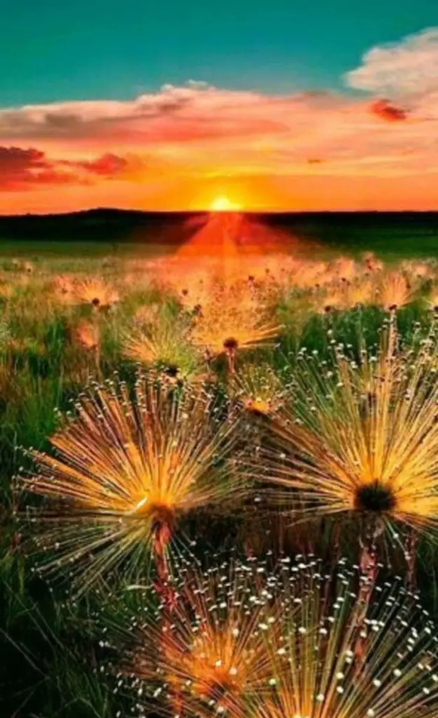 Condolence image of ✨️Dobranoc✨️ kochana Śnieżynko♥️