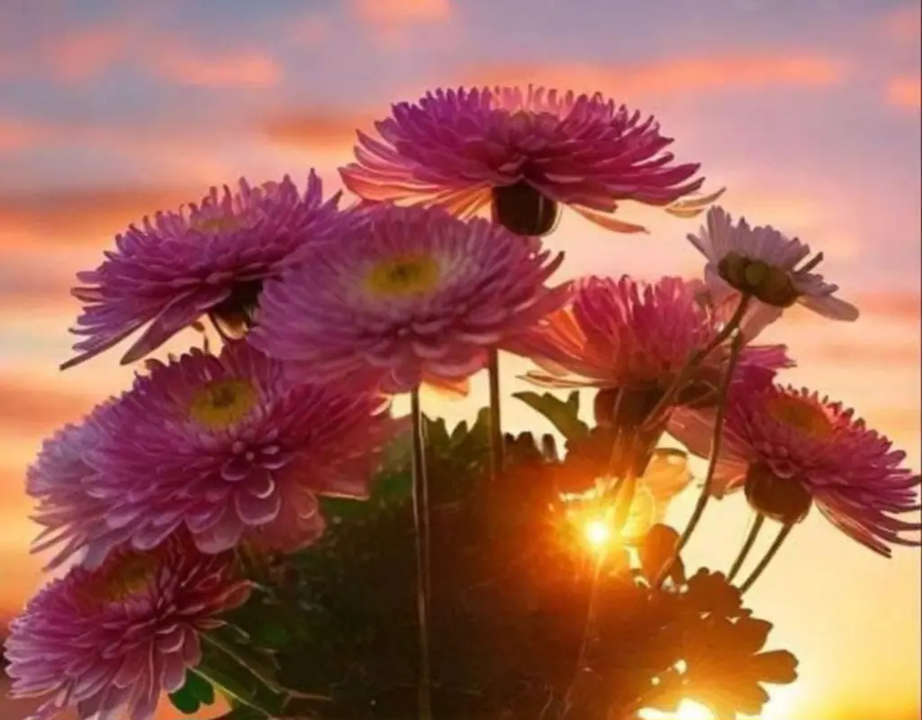 Condolence image of ✨️Dobranoc✨️ kochana Śnieżynko♥️