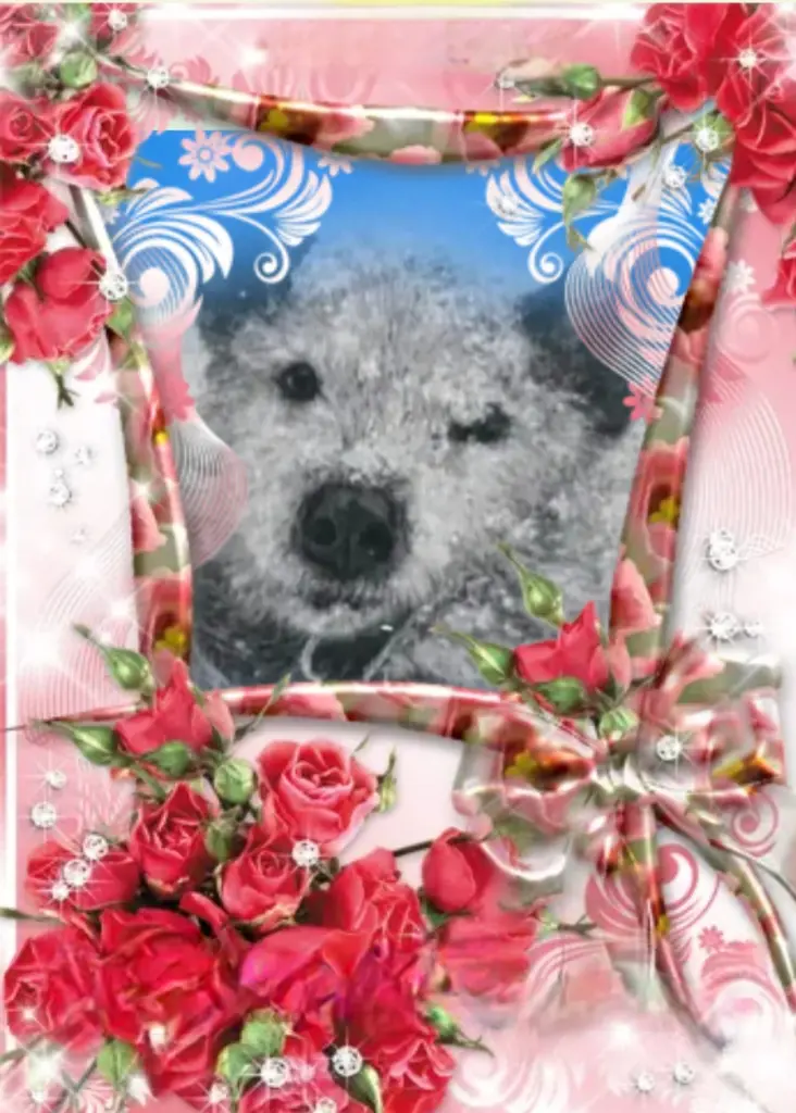 Condolence image of ✨️Dobranoc✨️ kochana Śnieżynko♥️