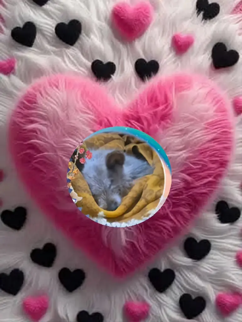 Condolence image of Niedzielne❤️Różyczki🌹🌹🌹dla Śnieżynki🐕❤️⭐️🌹🌹🌹💋💋💋