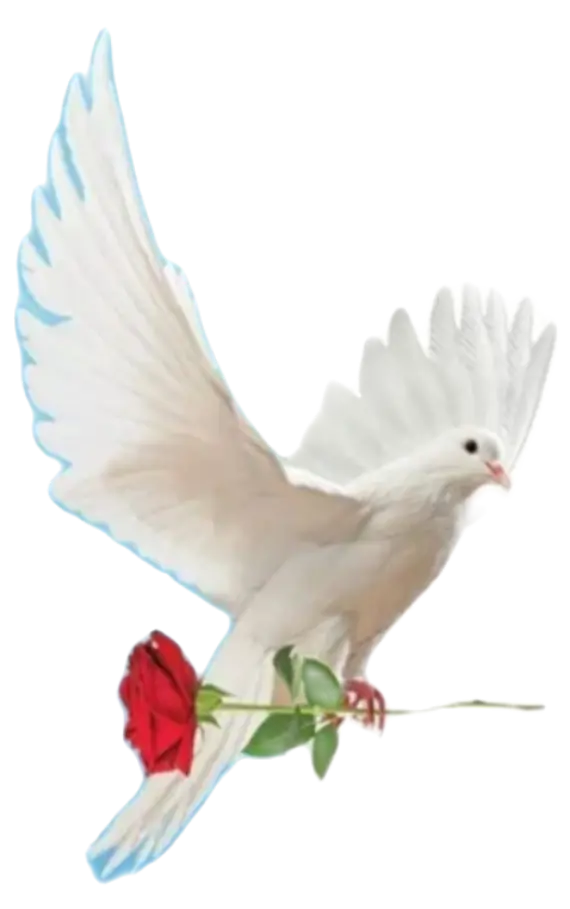Condolence image of E& K mit Jacki♥️ für Śnieżynka♥️