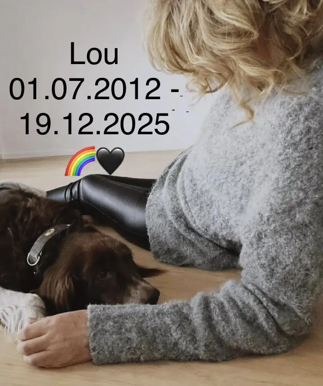 Bild von Lou