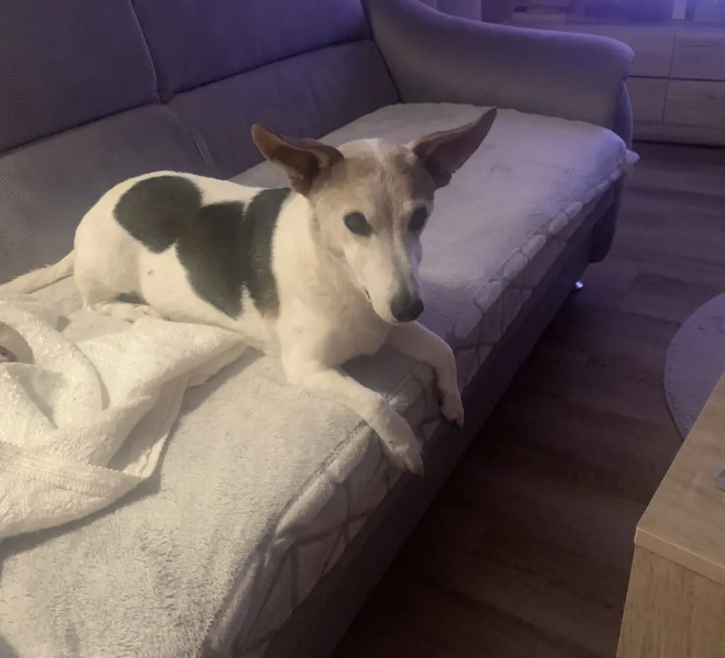 Andachtsbild von Mona mit Lina im ♥️