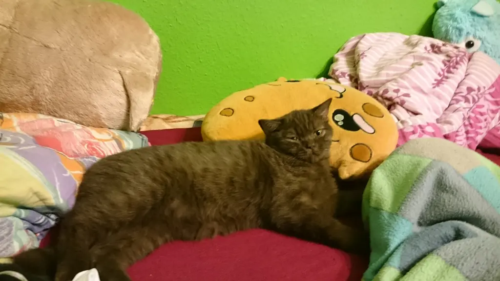 200 Kanäle und überall nur Katzen - Die Simpsons S10EP11 :3